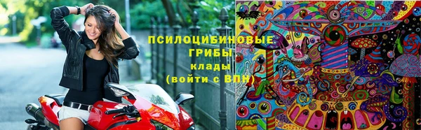 ГАЛЛЮЦИНОГЕННЫЕ ГРИБЫ Балабаново