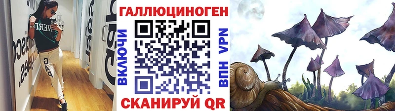 наркошоп  Ухта  Псилоцибиновые грибы GOLDEN TEACHER 