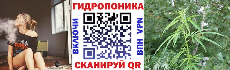 Канабис Amnesia Ухта